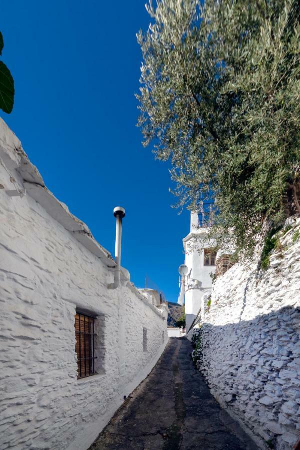 Casa La Parra Villa Capileira Kültér fotó